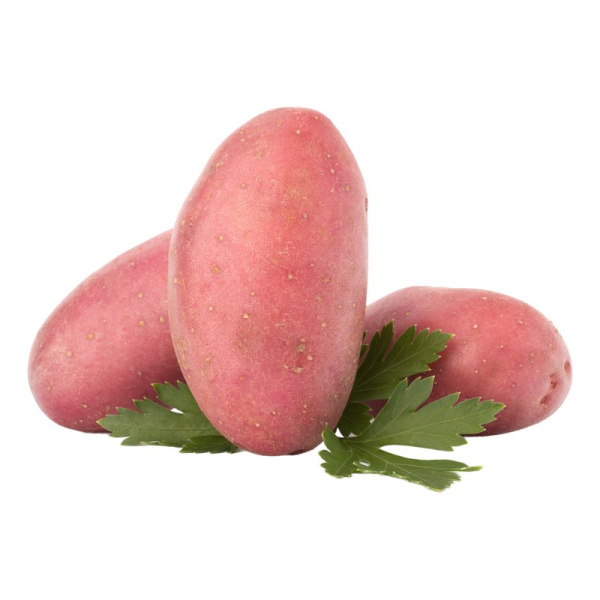 Картофель красный