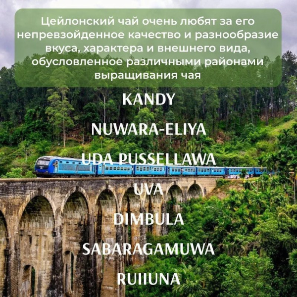 Чай Креатлюр зеленый крупнолистовой 250г