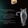 Корм для кошек Шеба для взрослых кошек ломтики курица/индейка в соусе 75г м/уп