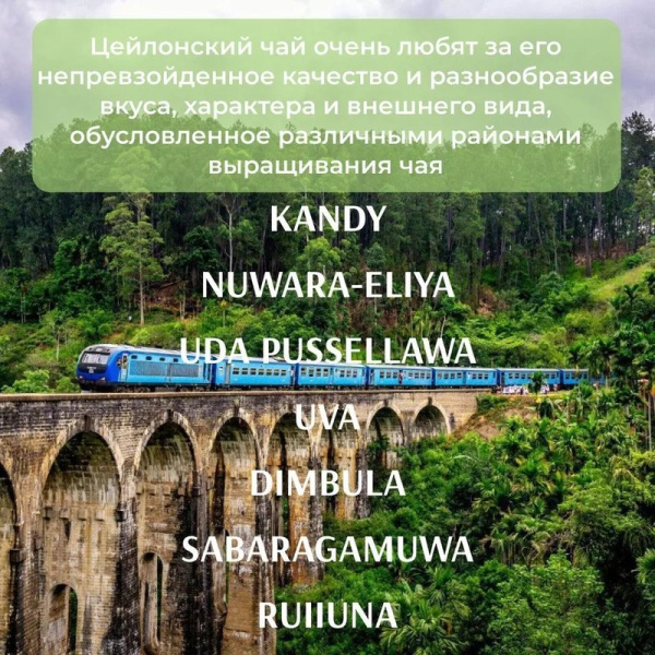 Чай Креатлюр камилия гарден зеленый с жасмином 100г