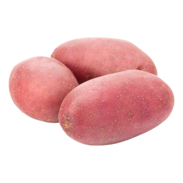 Картофель красный