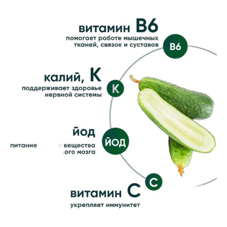 Огурцы Выборжец корнишоны 300г